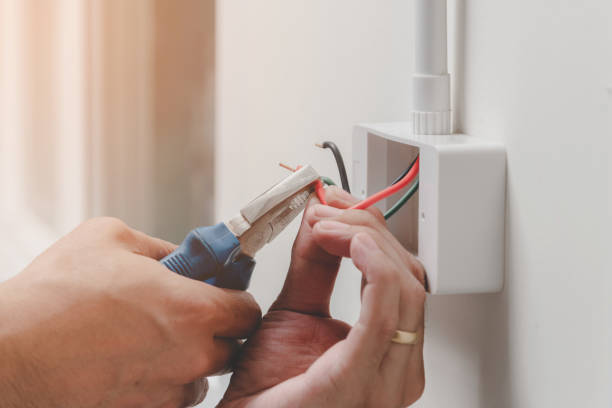 Best Electrical Maintenance Services  in Cypress Lake, FL