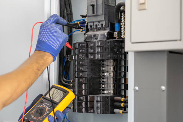 Best Electrical Panel Upgrades  in Cypress Lake, FL